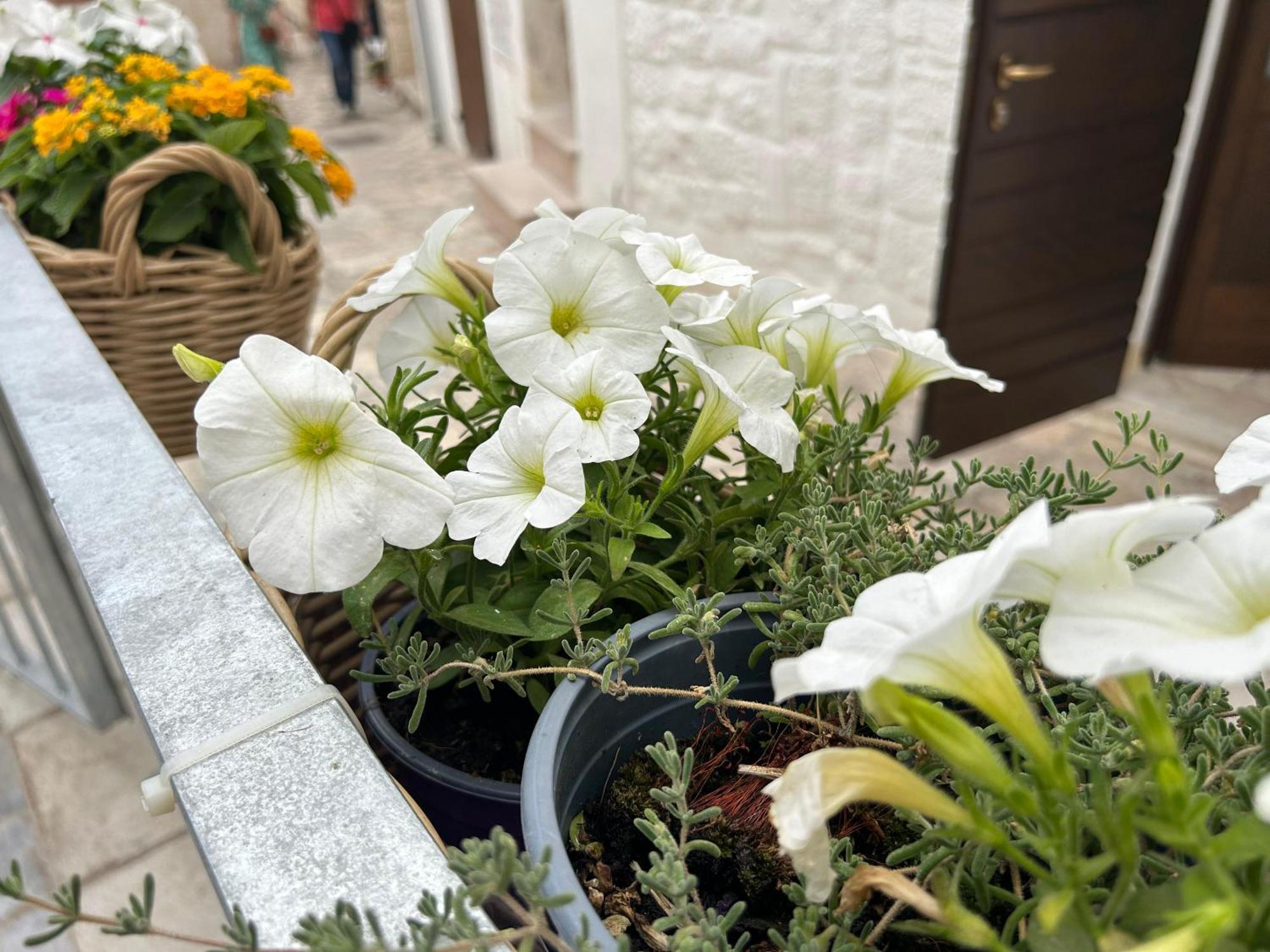 Trame Poesia Di Mare 2 Acomodação com café da manhã Polignano a Mare Exterior foto